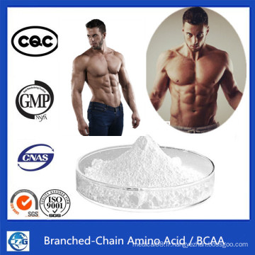 Nutrition sportive Musculation Poudre Branche Chaîne Amino Acide Bcaa